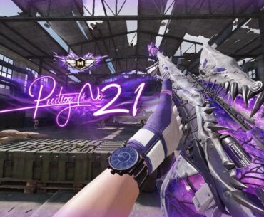 Best prestige weapons (that i own)