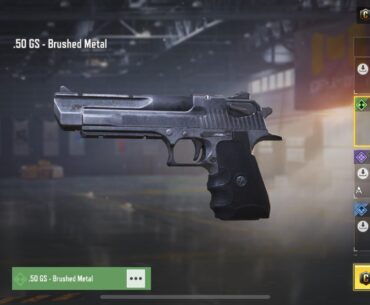 The .50 GS - Brushed Metal skin is imo the best looking uncommon skin I’ve seen in game so far
