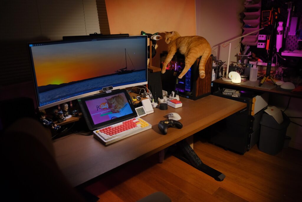 cat centric setup