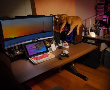 cat centric setup