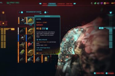 Did I find the holy grail of armor and health cyberware