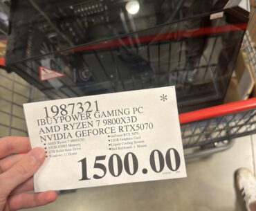 Went to Costco for lettuce, left with a computer