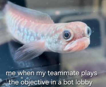 It happens too much these days even level 400's do it smh