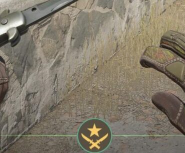 Anyway Valve would fix backwards writing on gloves/skins in left hand?
