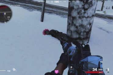 I’ve never found him again…