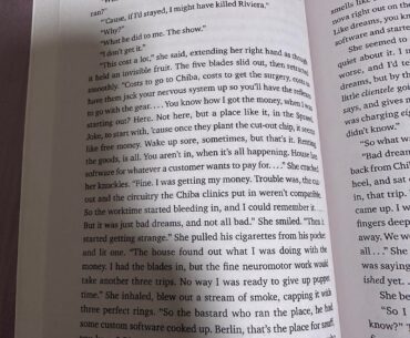 So I’m reading Neuromancer and it’s a treat as someone who’s first introduction to the cyberpunk genre was 2077