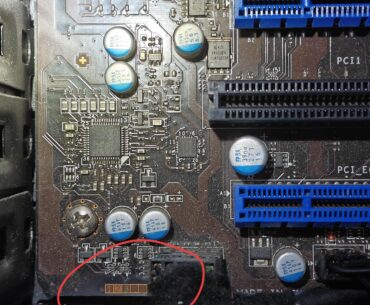 Anyone know what this is? Longevity indicator?