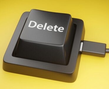 Twin brothers wipe 96 gov't databases minutes after being fired