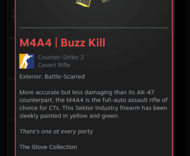 FT M4A4 Buzz Kill