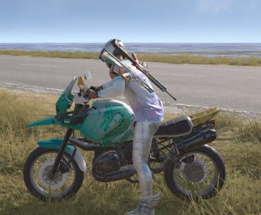 Am I crazy or is this the best bike skin?