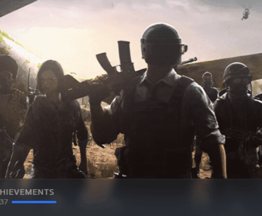 just 100% chicken dinner (without winner)