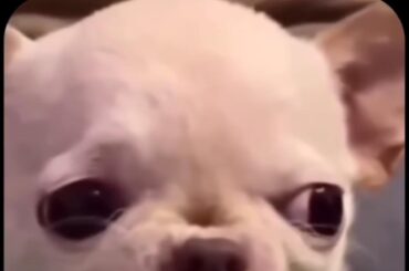 I know this feelin 2 well... 🤣😭🤣