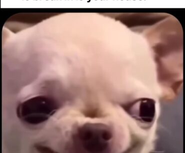 I know this feelin 2 well... 🤣😭🤣