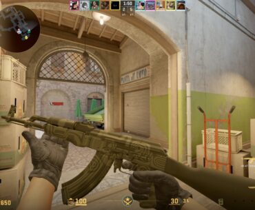 Why are skin bugs so common?