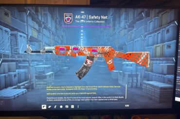 Not sure how to price this skin help