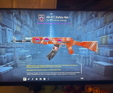Not sure how to price this skin help