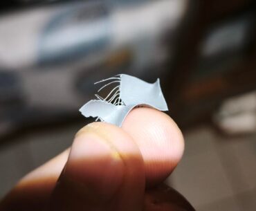 Fibers in chinese "PTM" ?