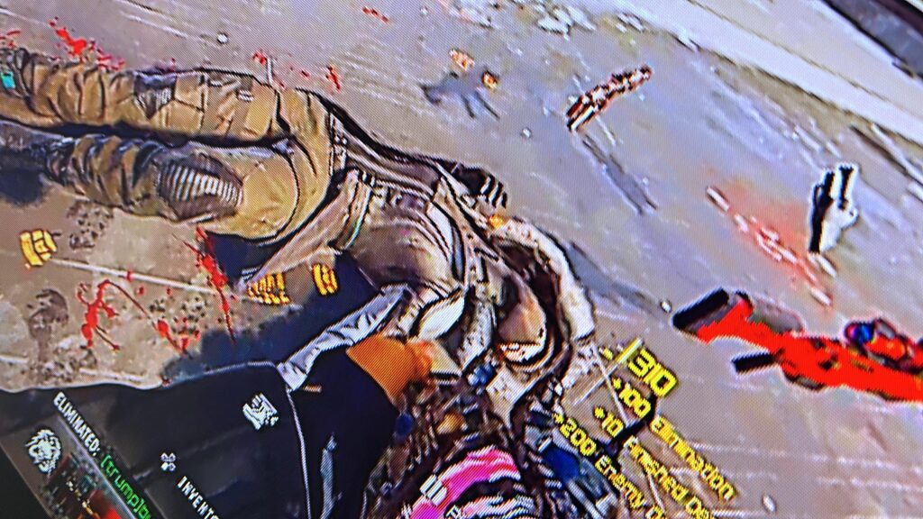 Does anyone know what skin this is?