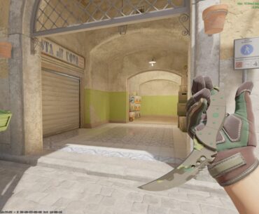 is this best combo under 300$?