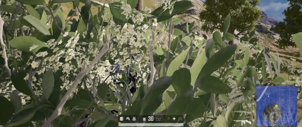 Be One With Nature When Doing Solo in Squads