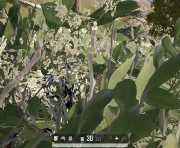 Be One With Nature When Doing Solo in Squads