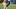 Ja'Quan McMillian, Brandin Cooks