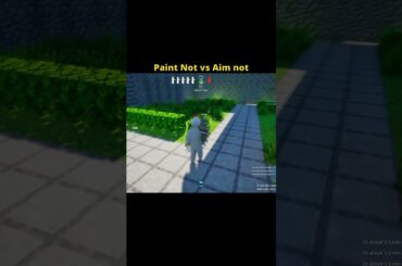 aim't vs pain't