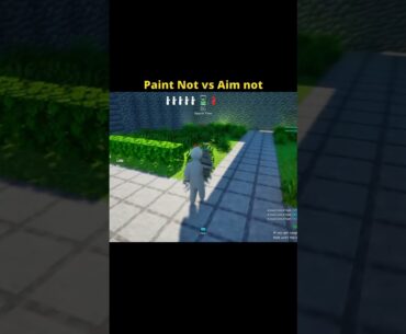 aim't vs pain't