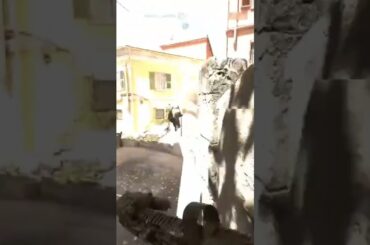 #shorts #shortsviral #shortvideo #short #battlefield #fpsgames #ireland