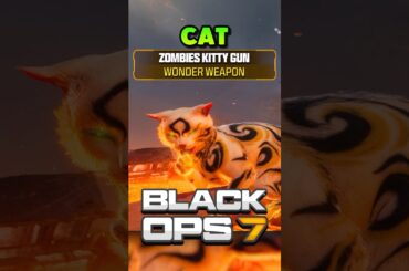 Cat Wonder Weapon???