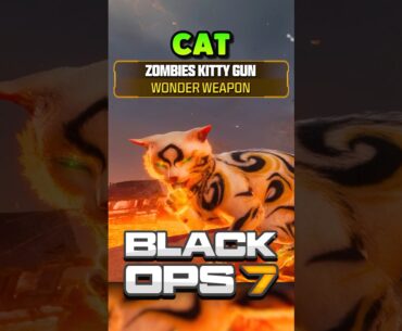 Cat Wonder Weapon???