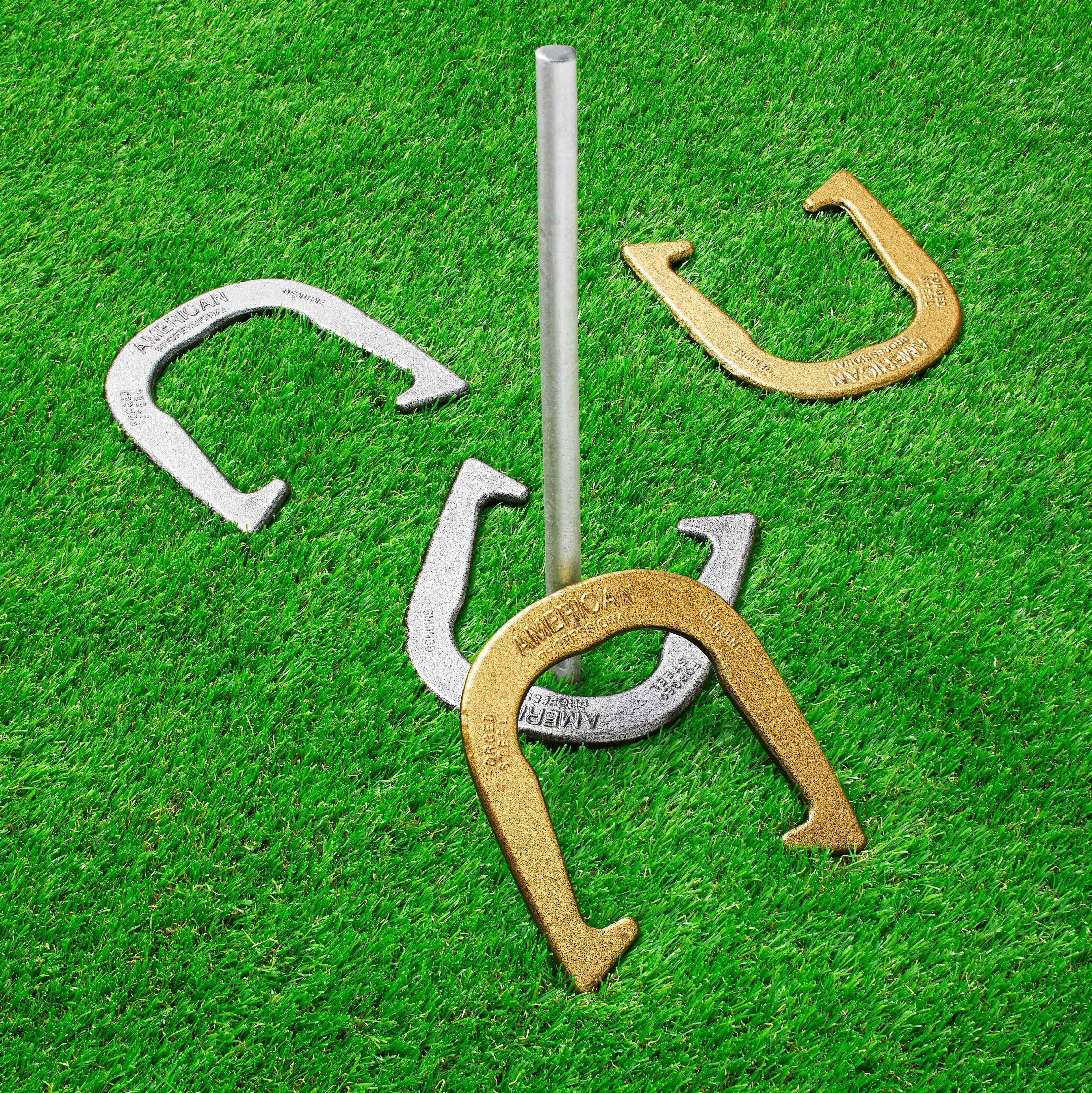 horseshoes game