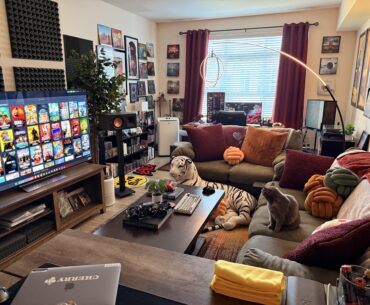 My whole living room is my battlestation. I insisted my desk be in front of the window when I first moved in…