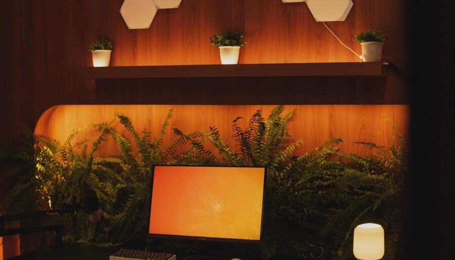 Biophilic Setup (yes, 100% real plants)