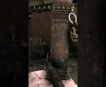 What’s your favorite Bow Loadout ? Comment down below. #huntshowdown #gaming #fps