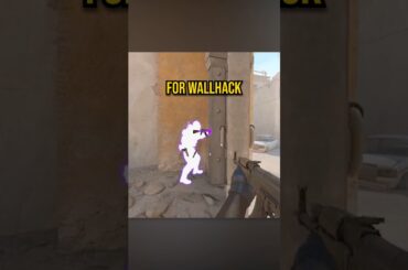 this could STOP WALLHACKING in cs2