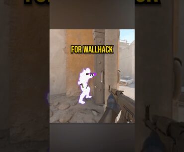 this could STOP WALLHACKING in cs2