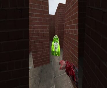 THE MINI MUNCI IN MAZE#Gmod #NextBots
