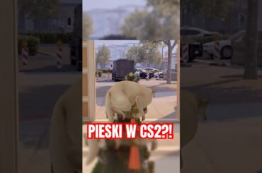 NAJSŁODSZA Rzecz w Counter Strike 2! 🐶