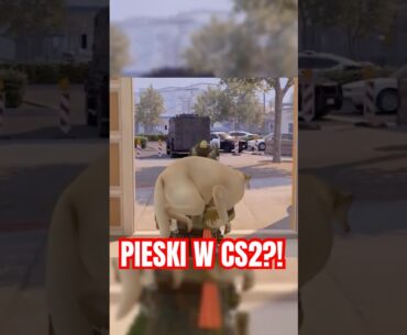 NAJSŁODSZA Rzecz w Counter Strike 2! 🐶