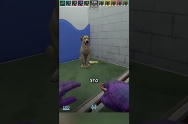 🐶ХВОСТИКИ В КС2!🐶| #Sherl0ck #Shorts #кс #cs #csgolive #cs2 #csgo #counterstrike