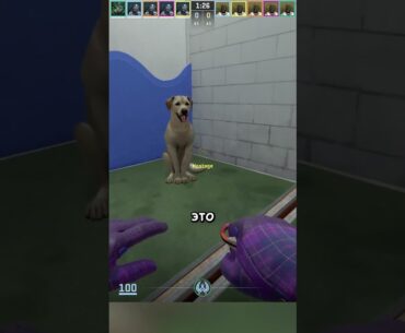 🐶ХВОСТИКИ В КС2!🐶| #Sherl0ck #Shorts #кс #cs #csgolive #cs2 #csgo #counterstrike