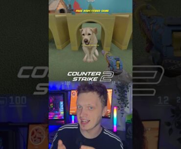 ratowanie PIESKÓW w CS2?! 🐶🧨- COUNTER STRIKE 2