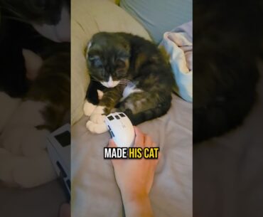 when your CAT unboxes a cs2 knife