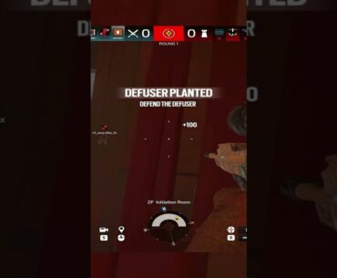 plant + 2k