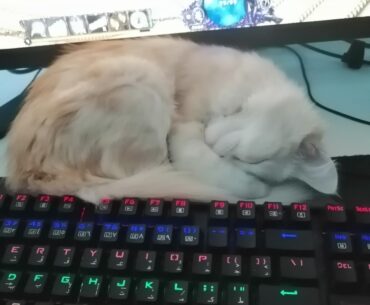 It's been a long day