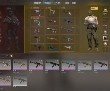 My rifle skins ive collected so far, plan on getting more soon.