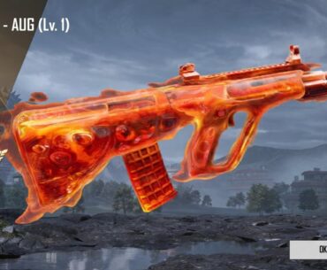 Got the AUG on a 10uc. I’m so happy it’s the only gun I’ve wanted!!