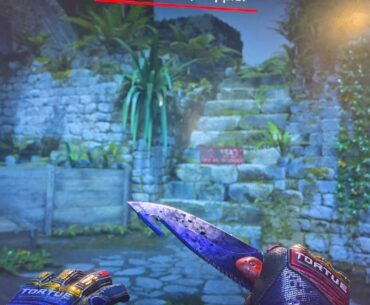 Need help with skins recommendations plz