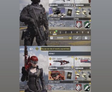 The two types of CODM skin users